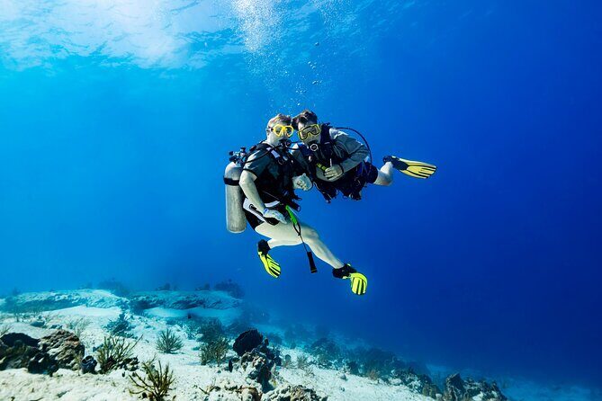 Certified Diving 2 Tanks in Cozumel - Who Should Consider This Tour?