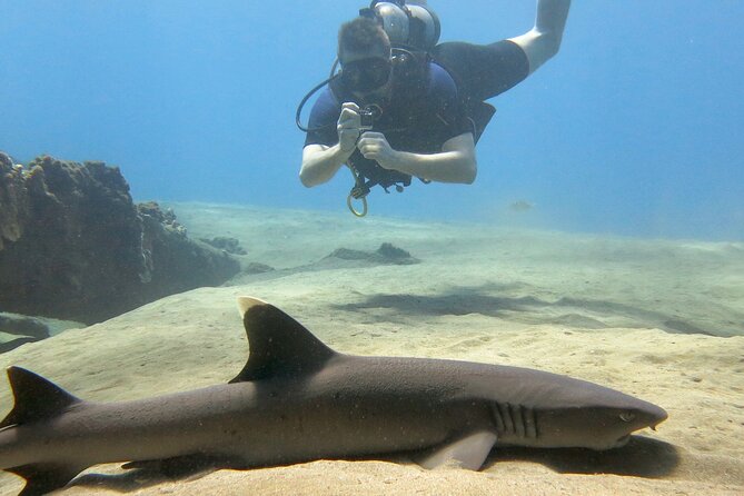 Certified Guided Shore Dive in Lahaina - Maximizing Your Scuba Diving Adventure