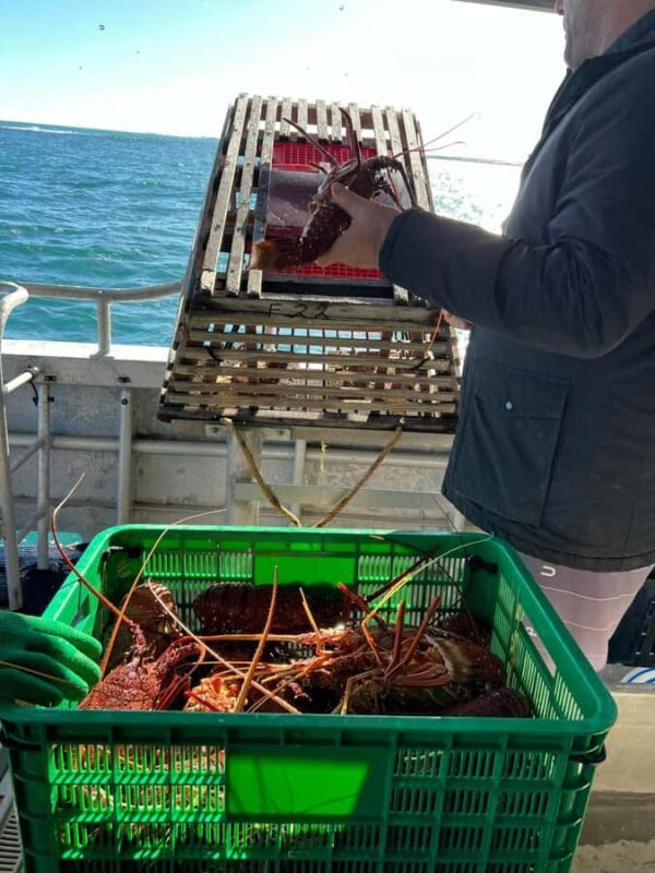 Cervantes: Lobster Catching Tour - Authenticity and Customer Feedback