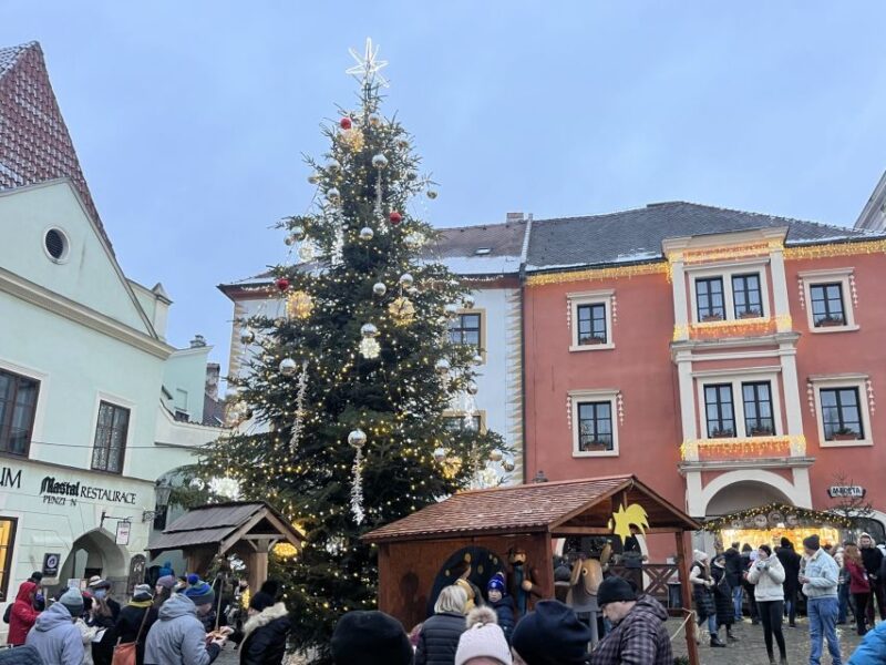 Cesky Krumlov: Private Christmas-Themed Walking Tour - Castle Museum and Tower