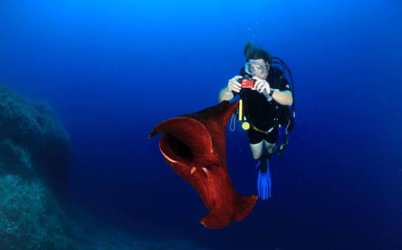 Cesme: Scuba Diving Experience - Safety Considerations