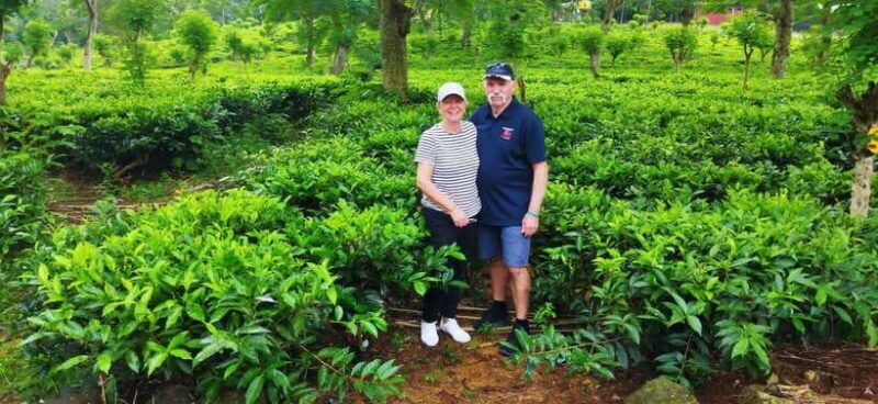 Ceylon Tea Experience from Colombo Port Passenger Terminal - Key Points