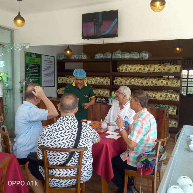 Ceylon Tea Experience from Colombo Port Passenger Terminal - The Sum Up