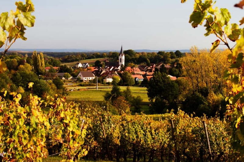Chablis Day Trip From Paris including 8 tastings & lunch - Key Points  