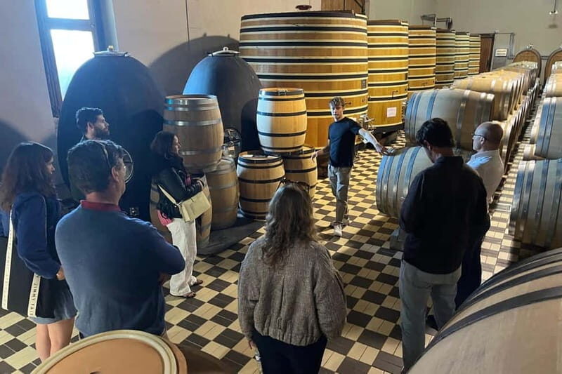 Chablis Day Trip From Paris including 8 tastings & lunch - Who Should Book This Tour?  