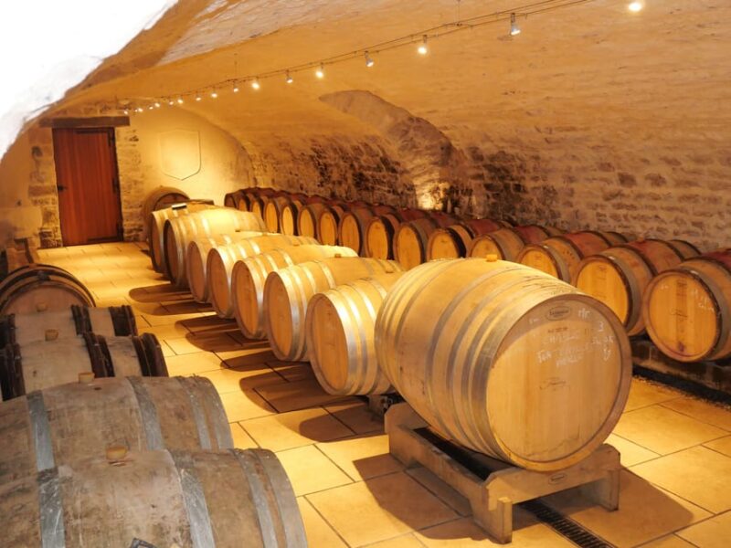 Chablis: Visit and Tasting Family Winery - Winery Overview