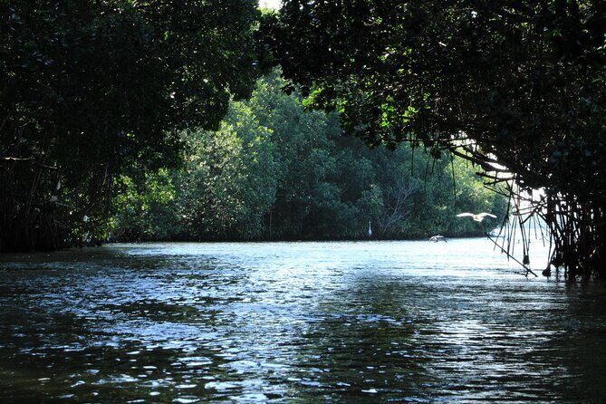 Chacahua Afternoon Journey - Key Points