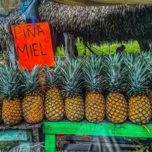 Chacchoben Mayan Ruins Excursion - Key Points