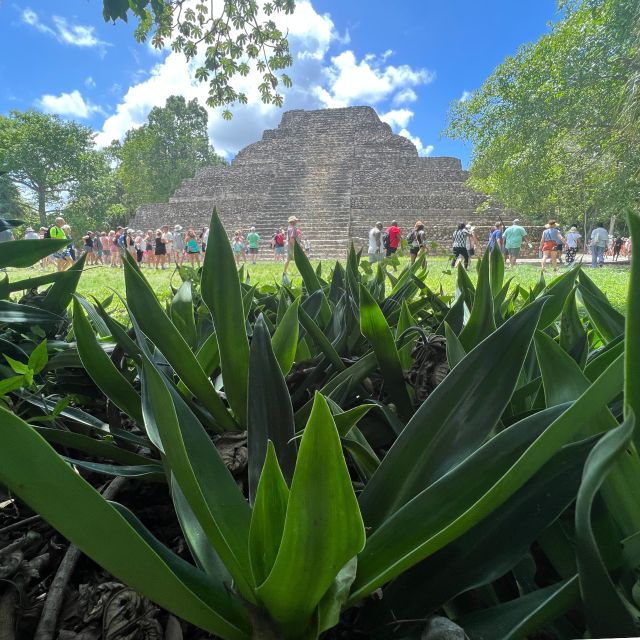 Chacchoben Mayan Ruins Excursion - Inclusions and Fees