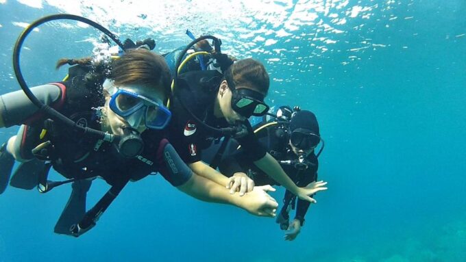 Chalkidiki: Scuba Diving for Beginners in Kassandra - Customer Testimonials and Recommendations