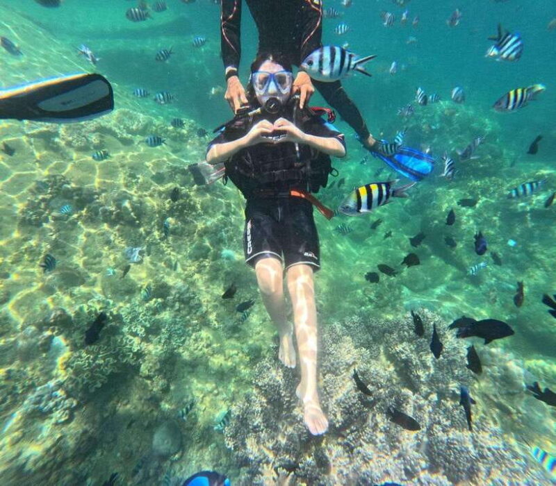Cham Island - Canoeing and Snorkeling With Seafood Lunch - Key Points