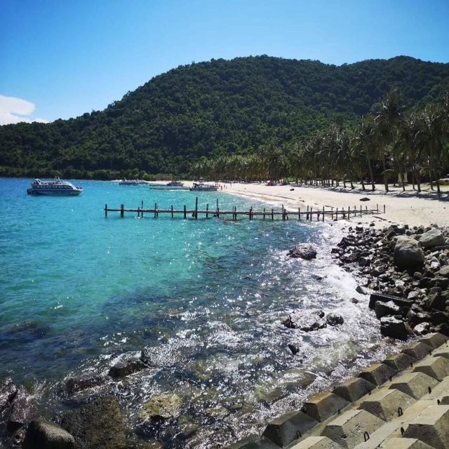 Cham Island - Snorkeling Tour From Hoi An/Danang - Customer Reviews and Feedback