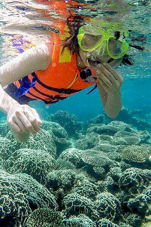 Cham Island Tour: Snorkeling & Spa From Da Nang/Hoi an - Discovering Local Culture