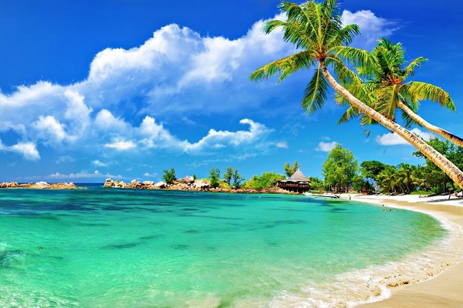Cham Island Trip by Speed Boat Including Snorkeling From Hoi an or Da Nang - Snorkeling Experience