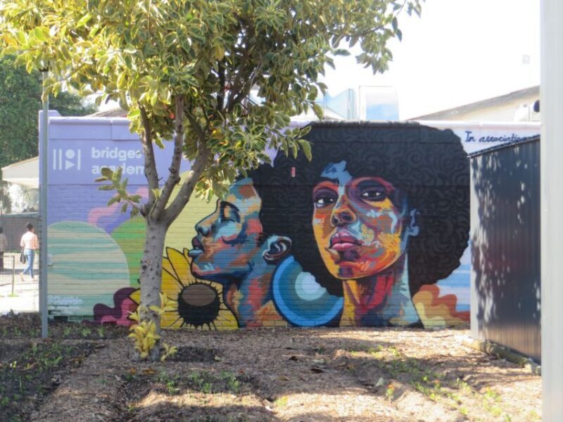 Chameleon Tour A Real Township Experience with Local Guides - Key Points