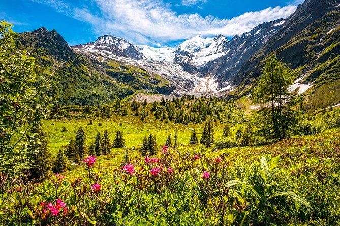 Chamonix and Mont Blanc Private Day Trip From Geneva - Highlights of Chamonix