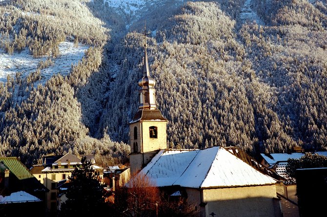 Chamonix Day Trip and Geneva City Tour Review - Trip Suitability