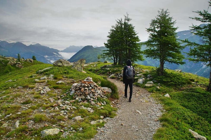 Chamonix: Hike and taste local products facing Mont Blanc - The Practical Details You Need to Know  