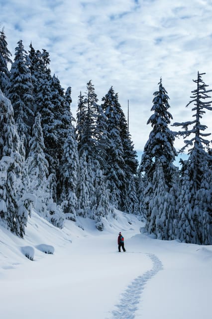 Chamonix: Snowshoeing Under the Stars - Sights and Sounds Under the Stars