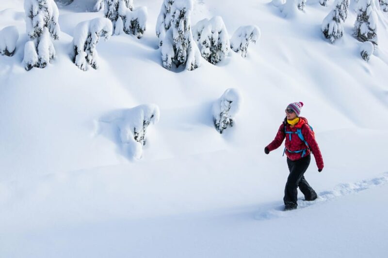 Chamonix: Snowshoeing Under the Stars - Practical Information and Booking Details