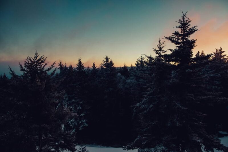 Chamonix: Snowshoeing With Local Cheese & Wine Tasting - Exploring Chamonixs Peaceful Trails