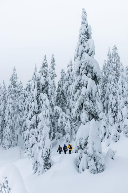 Chamonix: Snowshoeing With Local Cheese & Wine Tasting - Enchanting Views of the Mont-Blanc Massif