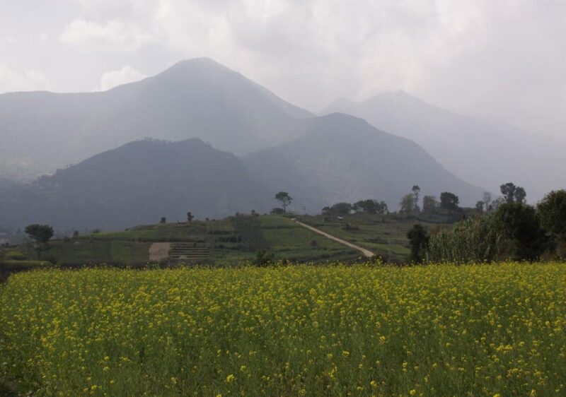 Champa Devi Hill Hike - A Private Hiking Trip - Scenic Highlights