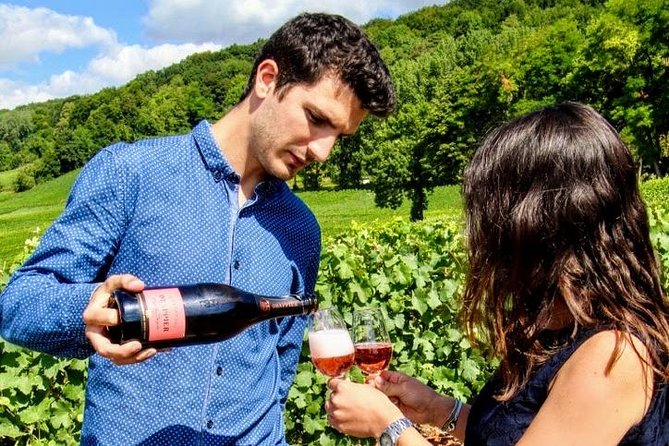Champagne Small-Group Wine Day Trip With Wine Tastings and Lunch - Itinerary
