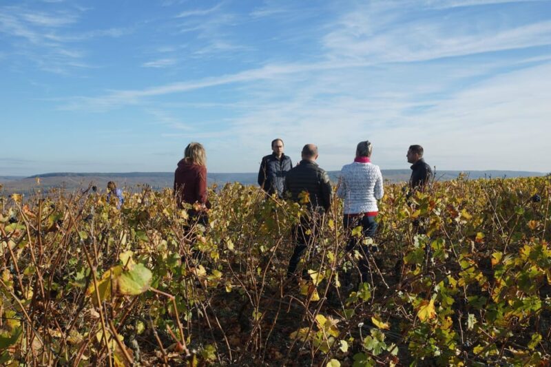 Champagne Vineyard Experience: Delve Into the Terroir - Sustainable Viticulture and Biodiversity