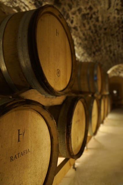 Champagne Vineyard Experience: Delve Into the Terroir - Sum Up