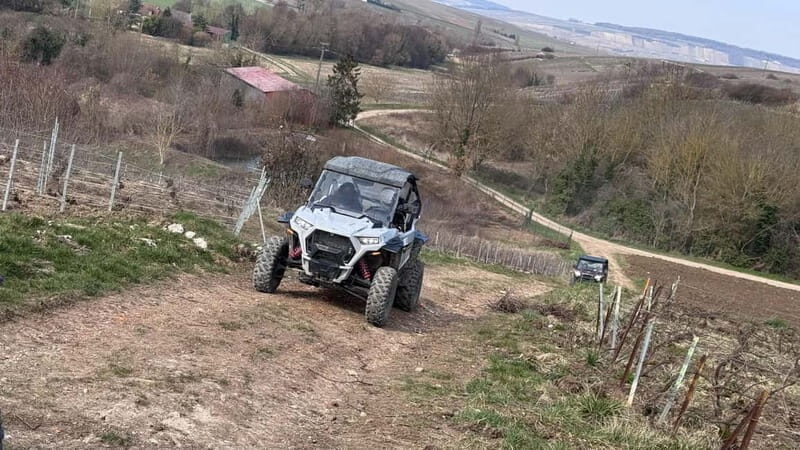 Champagne vineyards: 2-hour guided tour of the vineyards in a Buggy - The Value of the Champagne Vineyards Buggy Tour