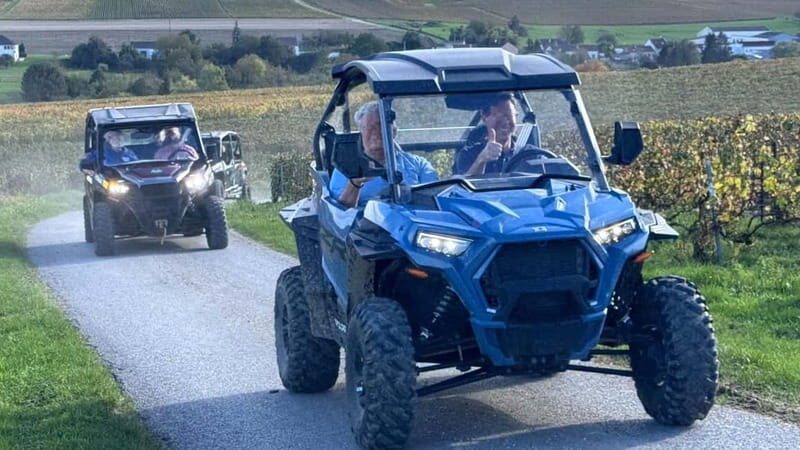 Champagne vineyards: 2-hour guided tour of the vineyards in a Buggy - Who Should Consider This Tour?