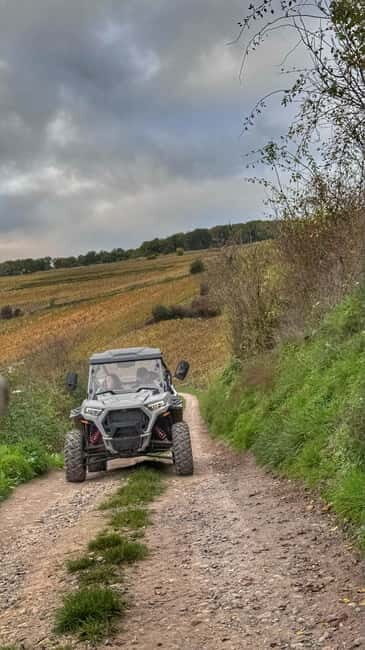 Champagne vineyards: 2-hour guided tour of the vineyards in a Buggy - Final Thoughts