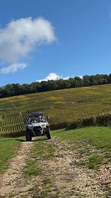 Champagne vineyards: 2-hour guided tour of the vineyards in a Buggy - FAQs