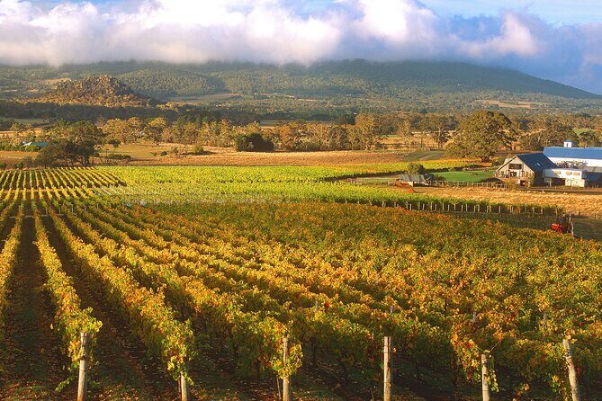 Champion Racehorse Tour with Beer and Wine Tasting - Practical Details and What to Expect