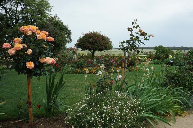 Champion Racehorse Tour with Beer and Wine Tasting - The Sum Up