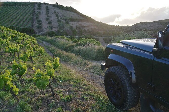Chania 4x4 Sunset Safari Tour - A Detailed Look at the Chania 4x4 Sunset Safari Tour