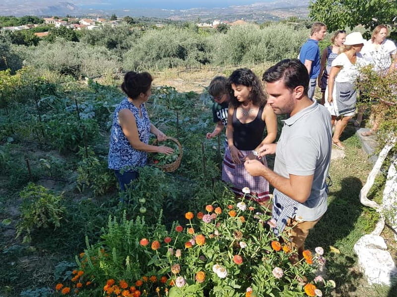 Chania: Cretan Wine, Olive Oil & Cooking Workshop - The Sum Up