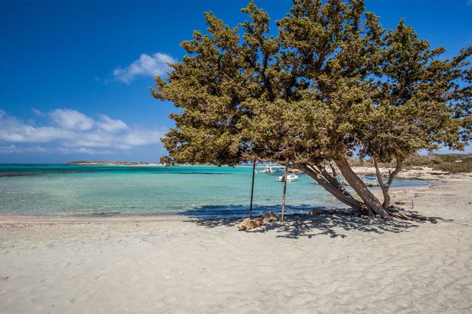 Chania: Elafonisi and Milia Mountain with Loungers and Lunch - Scenic Drive and Off-Road Adventure