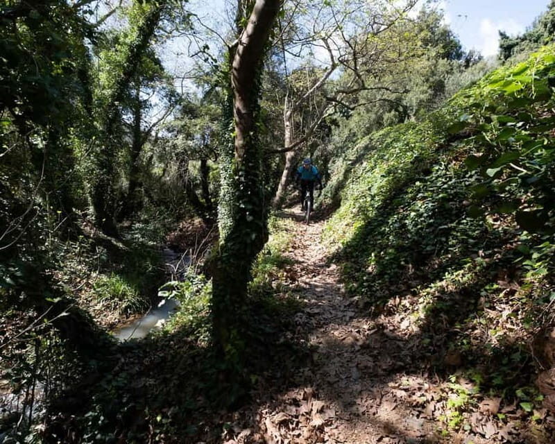 Chania: Electric Mountain Bike Tour - Exploring Crete’s Hinterland on Two Wheels
