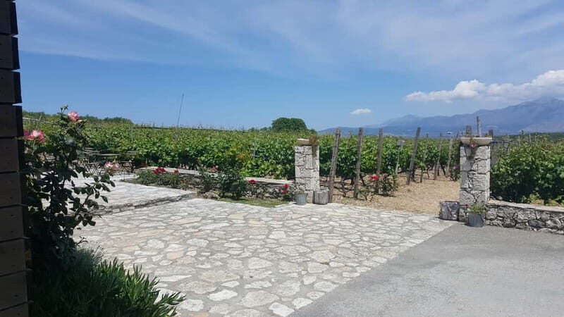 Chania: Full-Day Vineyard & Winery Private Tour w/ Tastings - Key Points