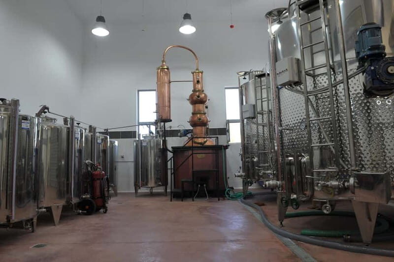 Chania: Full-Day Vineyard & Winery Private Tour w/ Tastings - The Sum Up