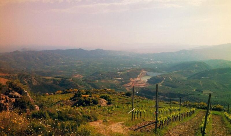Chania Luxury Jeep Safaris: Wine & Olive Oil Tasting Secrets - Traditional Cretan Culinary Delights