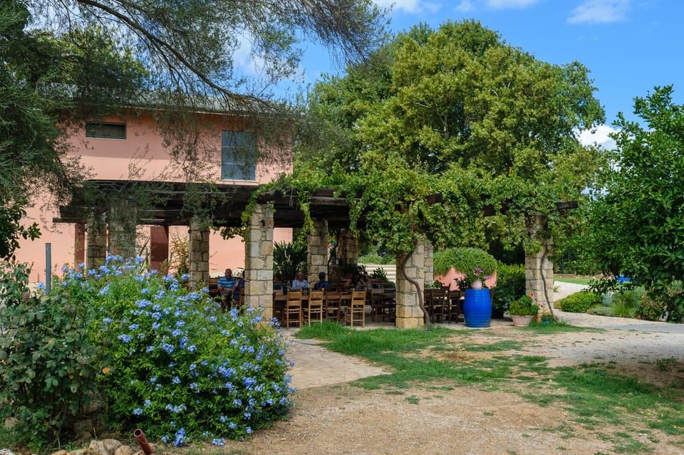 Chania: Mystery Trip with Hidden Gems & Local Flavors - Overview of the Mystery Trip Experience