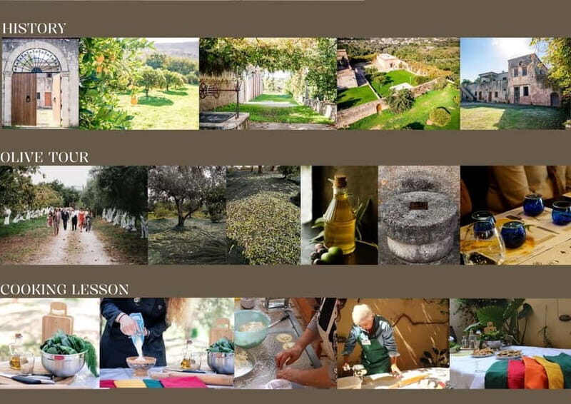 Chania: Olive Oil Tasting & Cooking Class at Metohi Istoria - Setting and Atmosphere
