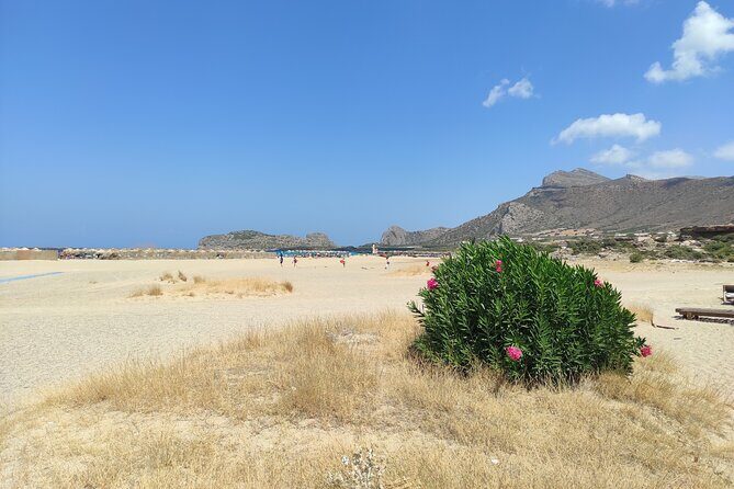Chania Pink Beaches Private Tour: Elafonisi & Falassarna - FAQ