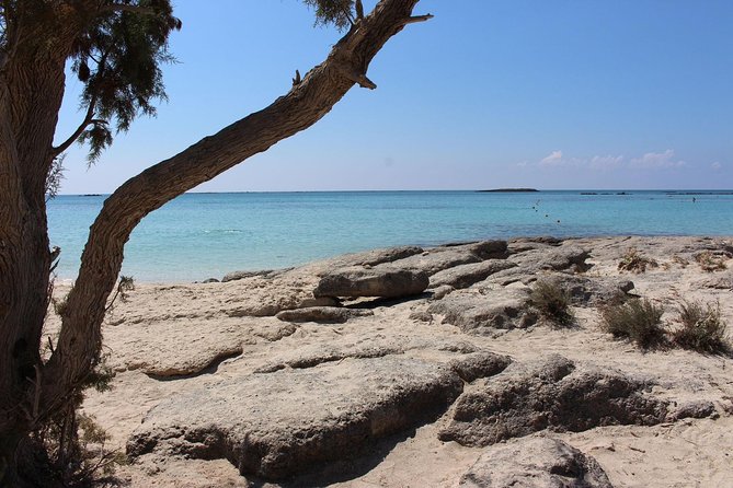 Chania Private Tour To Elafonissi and Falasarna - Elafonissi Beach Exploration