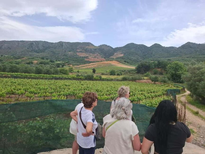 Chania: Private Tour to Therisso Gorge Village &Local Winery - Practical Details and What to Expect