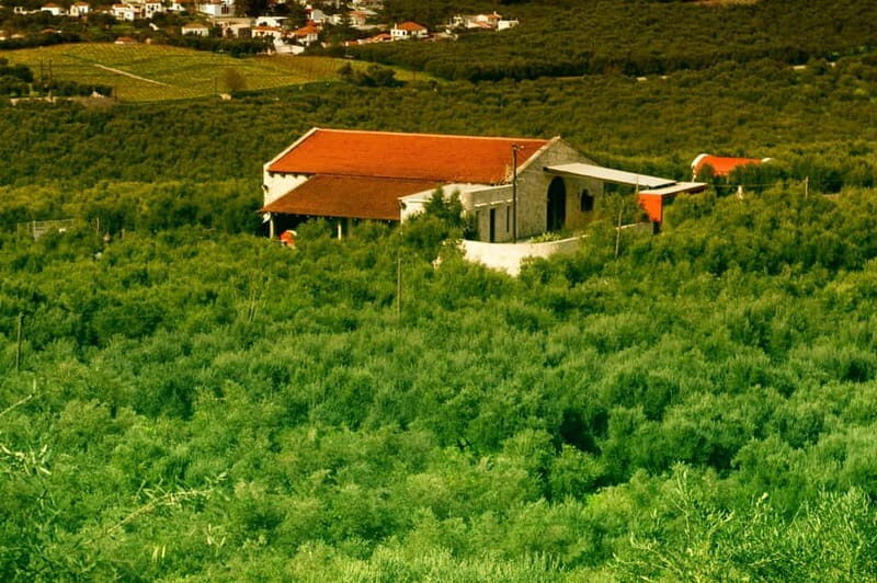 Chania: Pure Cretan Olive Oil, Wine, & Beer Experience - FAQ
