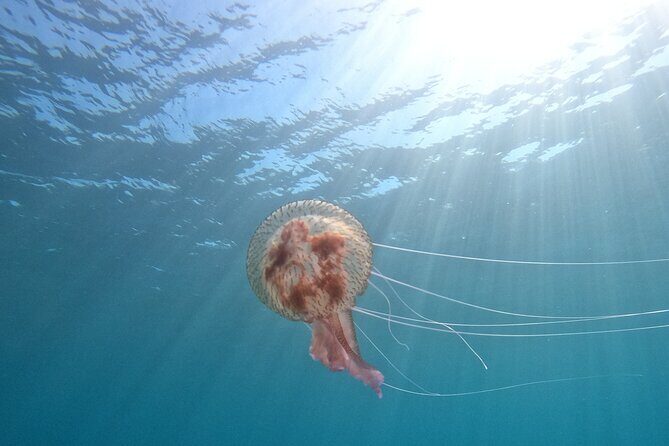 Chania Scuba Diving 2 Shore Dives(Receive Certification) - Key Points